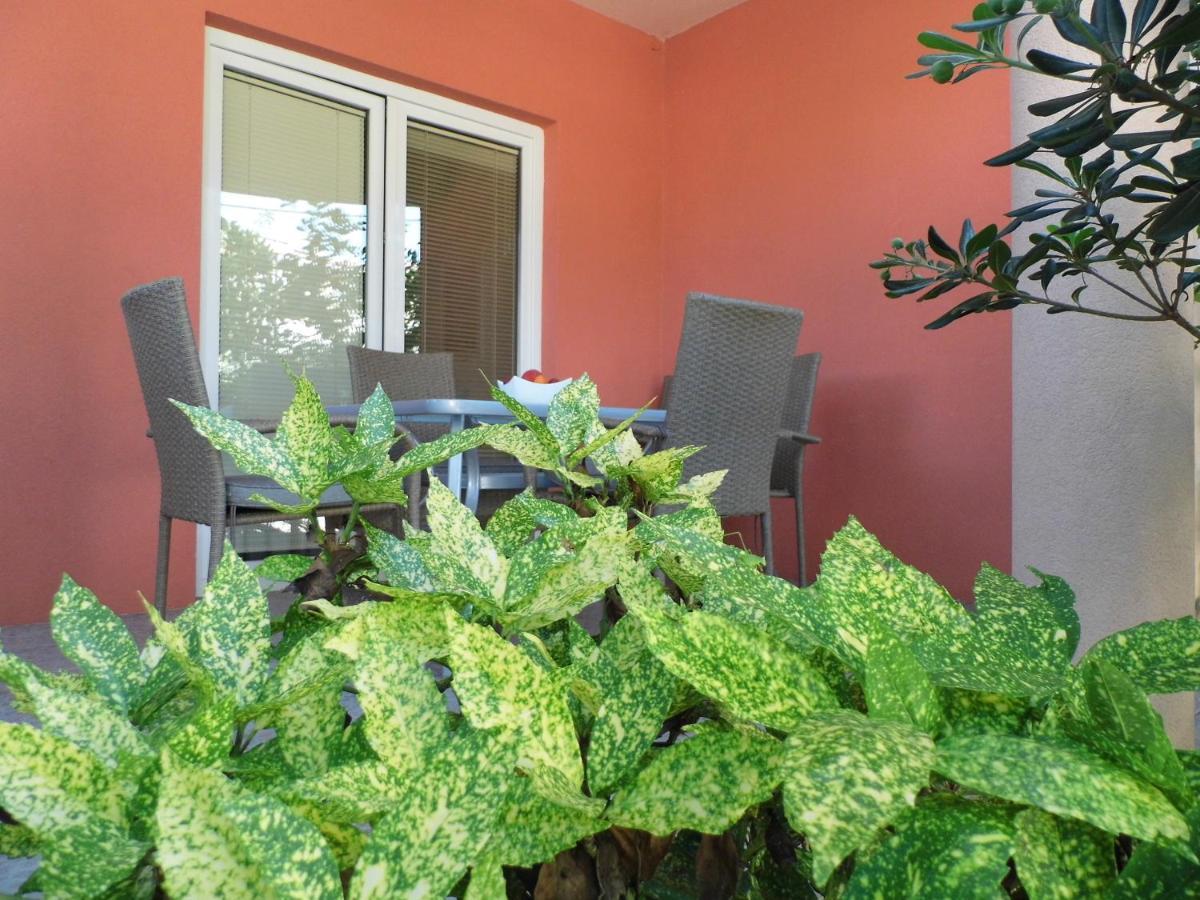 Apartment Leon Bibinje Zewnętrze zdjęcie